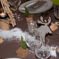 Table de Noël 2012 - thème nature