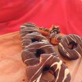 Donuts
