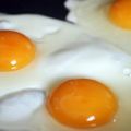 Menu 101 : t'as de très beaux oeufs, tu sais !