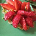 Tartelette pistache - fraise