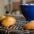 Madeleines à la fleur d'oranger