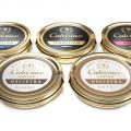 Caviar Calvisius : En exclusivité pour les[...]