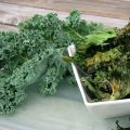 Chips de Kale