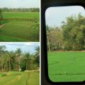 East Java