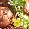 * Muffins au cacao, à la banane et aux noix *
