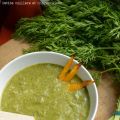Soupe de Fanes de Carottes