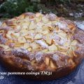 Gâteau léger pommes coings TM31