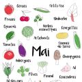 Calendrier des fruits et légumes de saison - Mai