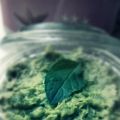 Monsieur Cuisine ou pas..... une tartinade[...]