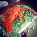 Le gâteau DRAGON