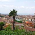 Florence
