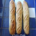 Baguette sur poolish longue à base de levure[...]