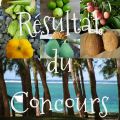 Résultat du Concours l'Ile Maurice vous[...]