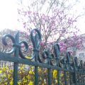 Le printemps