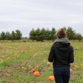 Activité d'automne à St-Joseph du lac:[...]