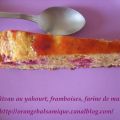 Gâteau au yahourt & aux framboises sans gluten,[...]