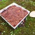 Crumble figue pomme