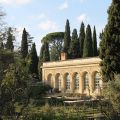 Au Jardin des Plantes de Montpellier en Février