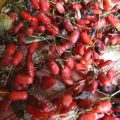 La marmelade d'épine vinette selon Sarah Wiener