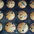 Muffins aux bleuets, framboises & Avoine