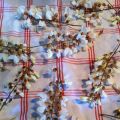 Beignets de fleurs d'acacias