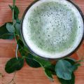 Un amour de canari