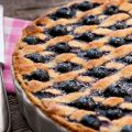 Tarte aux myrtilles facile