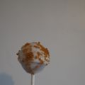 Cake pops au speculoos