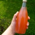 Kombucha