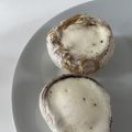 Champignon fromage