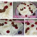 Gâteau Choco Framboise