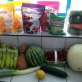 Épicerie du 5 juillet, planification et[...]