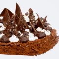 Fantastik 100% cacao de François
