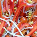 Salade haricots mungos frais et poivrons rouges