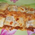 Canellonis de poireaux - DUKAN
