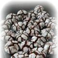 Les crinkles tout choco
