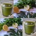 Potion Obélix (Vegan)