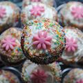 Cupcakes Red Velvet