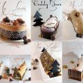 Bûches Noël 2016