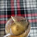 Marmelade de pamplemousse blanc à la vanille et[...]
