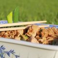 Nouilles sautées au poulet et aux brocolis