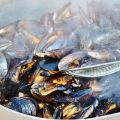 Recette de moules au cidre AOP baie du Mont[...]