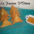 Samoussas Au Boeuf