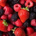 Salade de fruits frais facile