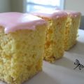 Gâteau à la crème anglaise