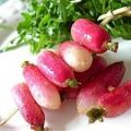 Radis vedette : radis glacés au miel et aux[...]
