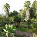 La bourse aux plantes de printemps au jardin[...]