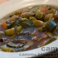 Soupe aux légumes & herbes salées