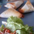 Samoussa Tomate mozzarella