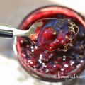 Confiture de fruits rouges au fructose